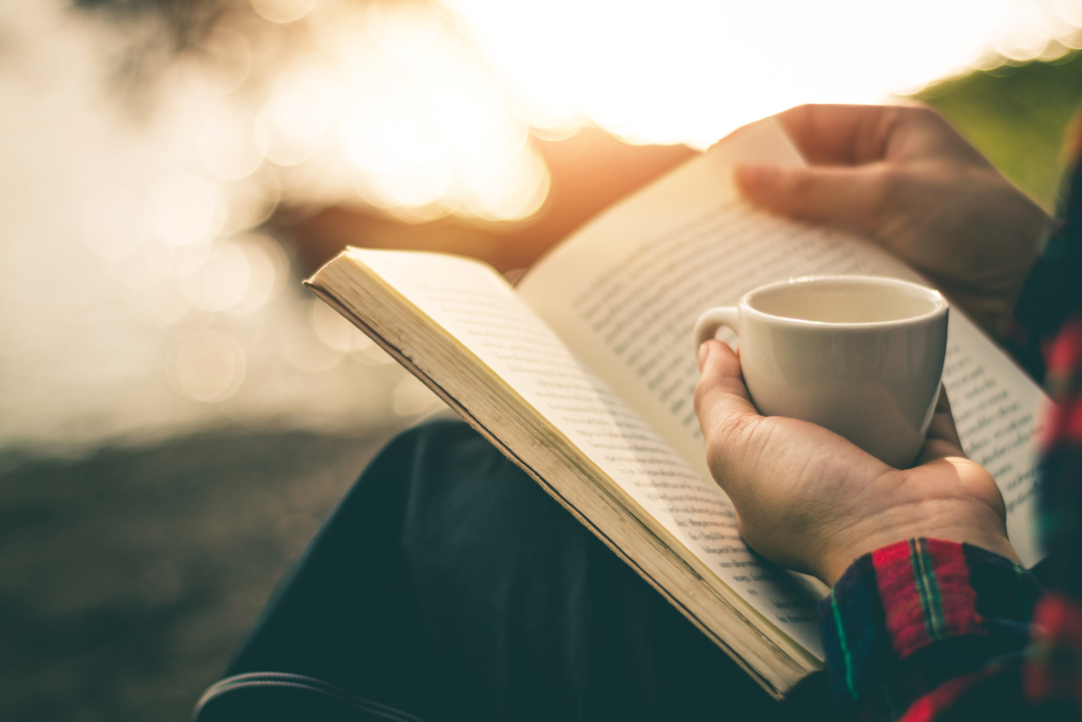 Women read books in quiet nature, concept read a books.